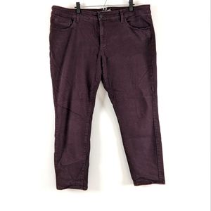 Universal Thread Skinny Stretch Ankle Pants